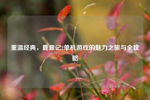 重温经典，鹿鼎记2单机游戏的魅力之旅与全攻略