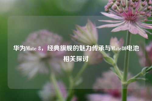 华为Mate 8，经典旗舰的魅力传承与Mate80电池相关探讨
