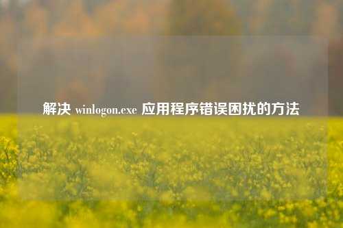 解决 winlogon.exe 应用程序错误困扰的方法