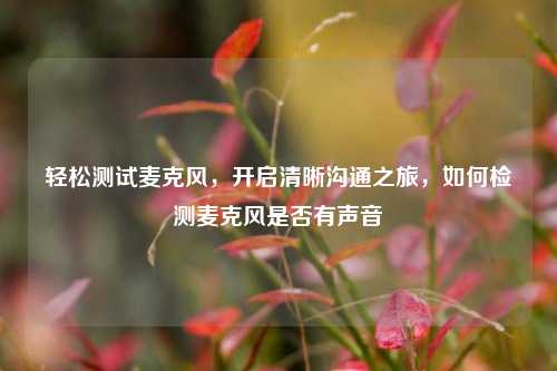 轻松测试麦克风,开启清晰沟通之旅,如何检测麦克风是否有声音