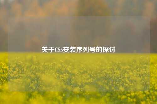 关于CS5安装序列号的探讨
