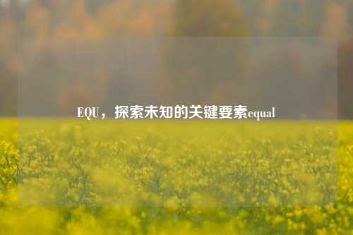EQU,探索未知的关键要素equal