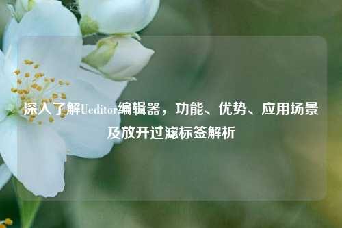 深入了解Ueditor编辑器，功能、优势、应用场景及放开过滤标签解析
