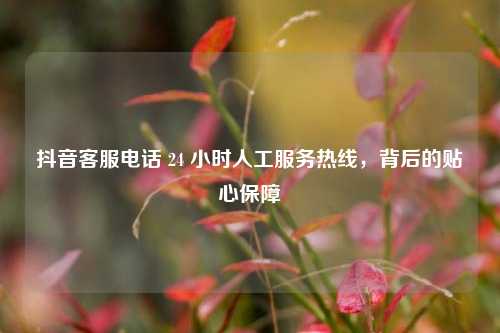 抖音客服电话 24 小时人工服务热线,背后的贴心保障