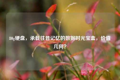 80g硬盘,承载往昔记忆的数据时光宝盒,价值几何?