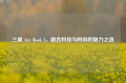 三星 Ativ Book 2,融合科技与时尚的魅力之选