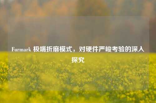 Furmark 极端折磨模式,对硬件严峻考验的深入探究