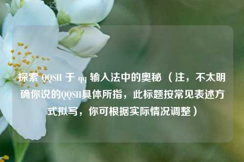 探索 QQSH 于 qq 输入法中的奥秘 (注,不太明确你说的QQSH具体所指,此标题按常见表述方式拟写,你可根据实际情况调整)