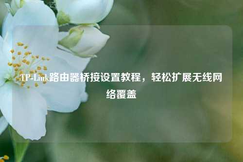 TP-Link路由器桥接设置教程,轻松扩展无线网络覆盖