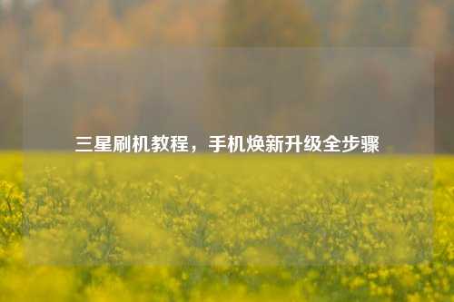 三星刷机教程,手机焕新升级全步骤