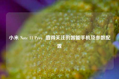 小米 Note 11 Pro,值得关注的智能手机及参数配置