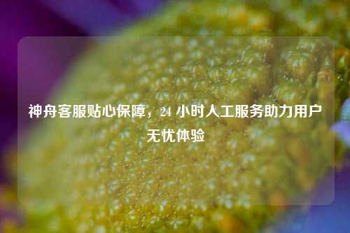 神舟客服贴心保障,24 小时人工服务助力用户无忧体验