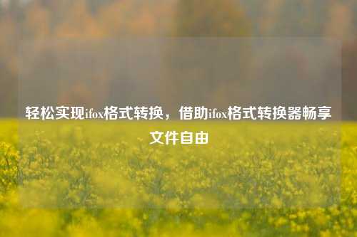 轻松实现ifox格式转换,借助ifox格式转换器畅享文件自由