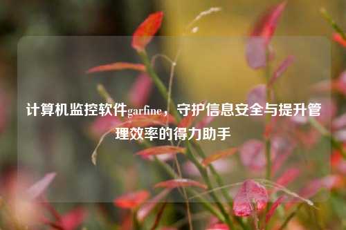 计算机监控软件garfine，守护信息安全与提升管理效率的得力助手