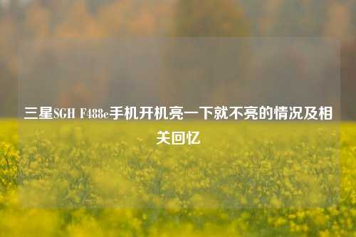 三星SGH F488e手机开机亮一下就不亮的情况及相关回忆