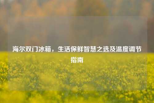 海尔双门冰箱，生活保鲜智慧之选及温度调节指南