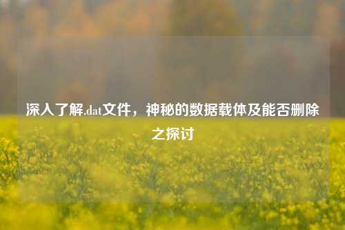 深入了解.dat文件,神秘的数据载体及能否删除之探讨