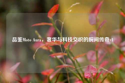 品鉴Moto Aura,奢华与科技交织的腕间传奇r1