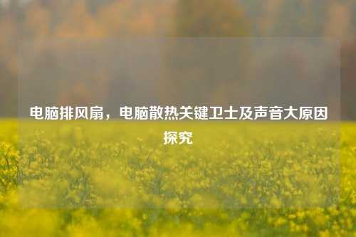 电脑排风扇，电脑散热关键卫士及声音大原因探究