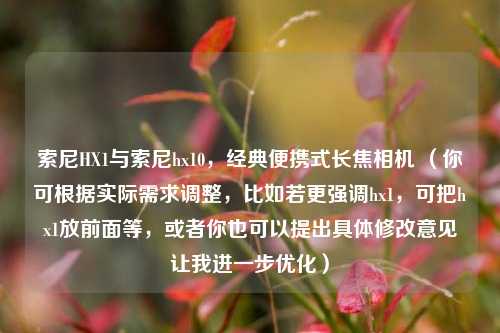 索尼HX1与索尼hx10,经典便携式长焦相机 (你可根据实际需求调整,比如若更强调hx1,可把hx1放前面等,或者你也可以提出具体修改意见让我进一步优化)