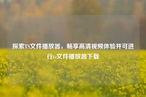 探索TS文件播放器，畅享高清视频体验并可进行ts文件播放器下载