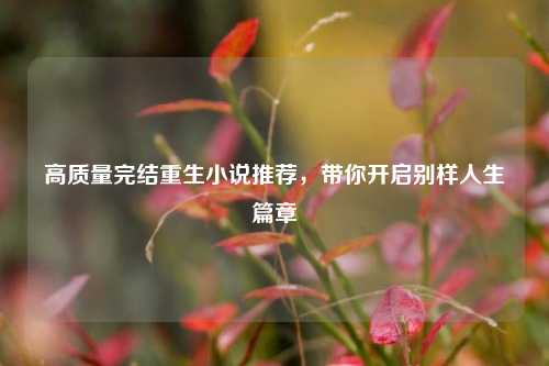 高质量完结重生小说推荐,带你开启别样人生篇章