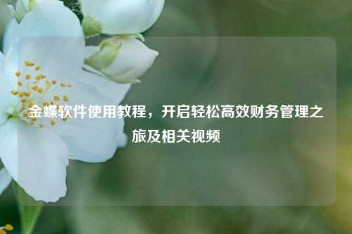 金蝶软件使用教程，开启轻松高效财务管理之旅及相关视频