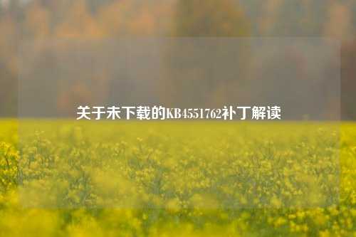 关于未下载的KB4551762补丁解读