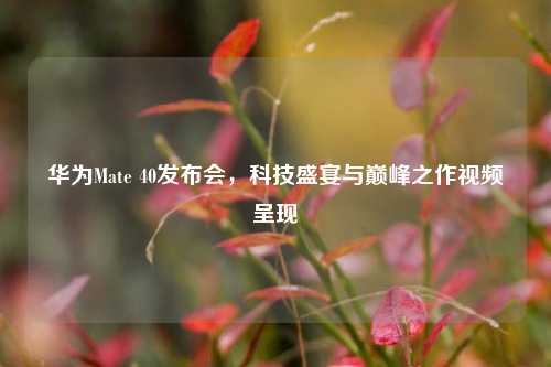 华为Mate 40发布会,科技盛宴与巅峰之作视频呈现