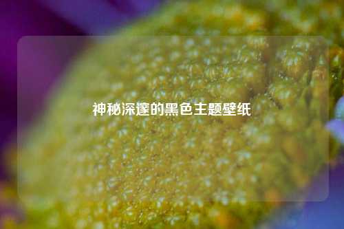 神秘深邃的黑色主题壁纸