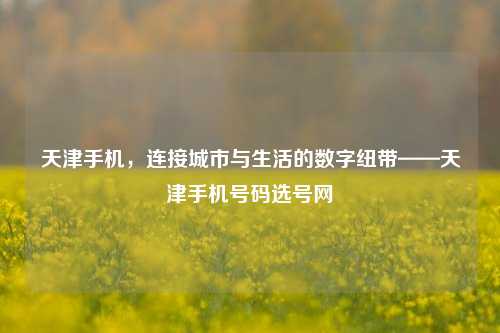 天津手机,连接城市与生活的数字纽带——天津手机号码选号网