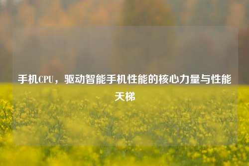 手机CPU,驱动智能手机性能的核心力量与性能天梯