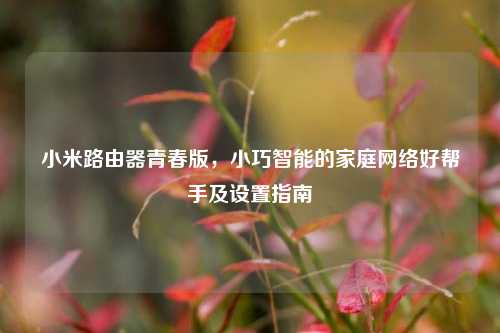 小米路由器青春版，小巧智能的家庭网络好帮手及设置指南