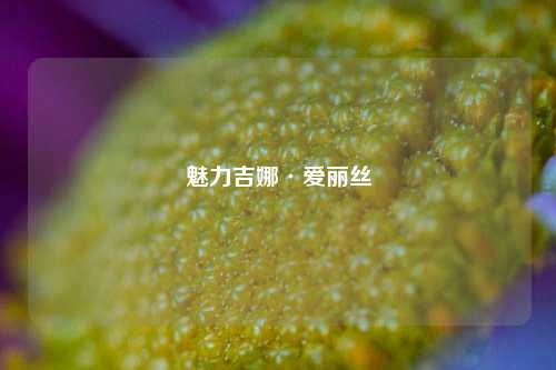魅力吉娜·爱丽丝