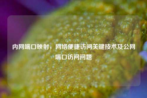 内网端口映射,网络便捷访问关键技术及公网端口访问问题