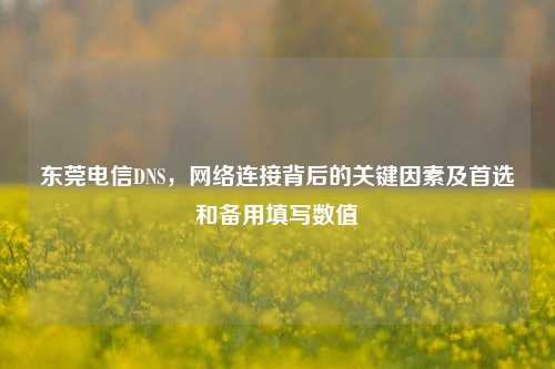 东莞电信DNS,网络连接背后的关键因素及首选和备用填写数值