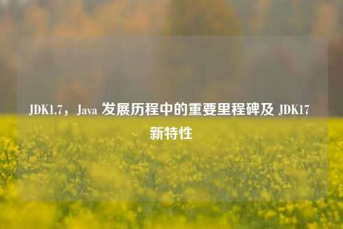 JDK1.7，Java 发展历程中的重要里程碑及 JDK17 新特性