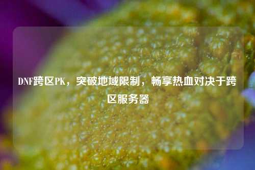 DNF跨区PK,突破地域限制,畅享热血对决于跨区服务器