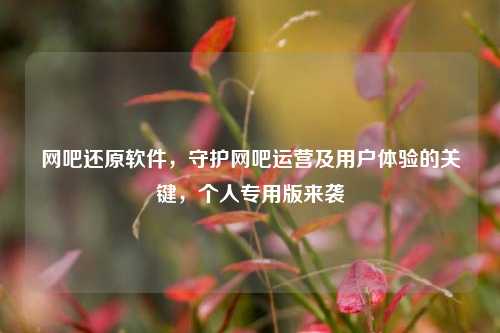 网吧还原软件,守护网吧运营及用户体验的关键,个人专用版来袭
