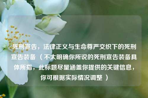 死刑宣告,法律正义与生命尊严交织下的死刑宣告装备 (不太明确你所说的死刑宣告装备具体所指,此标题尽量涵盖你提供的关键信息,你可根据实际情况调整 )