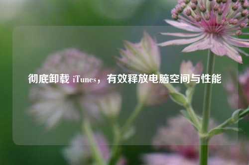 彻底卸载 iTunes，有效释放电脑空间与性能