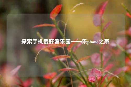 探索手机爱好者乐园——乐phone之家