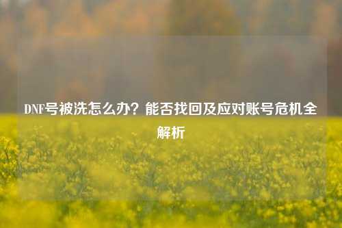 DNF号被洗怎么办?能否找回及应对账号危机全解析