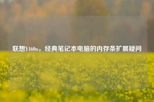 联想Y460n,经典笔记本电脑的内存条扩展疑问