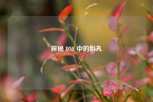 探秘 DNF 中的影丸