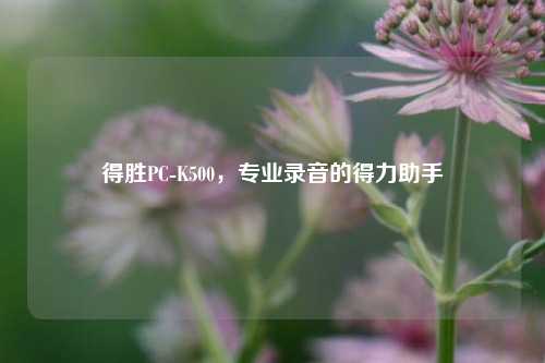 得胜PC-K500,专业录音的得力助手