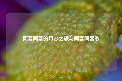 阿塞阿塞的奇妙之旅与阿塞阿塞歌