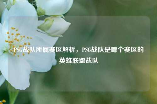 PSG战队所属赛区解析,PSG战队是哪个赛区的英雄联盟战队