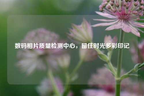 数码相片质量检测中心,留住时光多彩印记