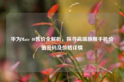 华为Mate 40售价全解析,探寻高端旗舰手机价值密码及价格详情